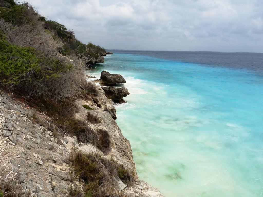 B&B Casa Trankilo Kralendijk na wyspie Bonaire Zewnętrze zdjęcie