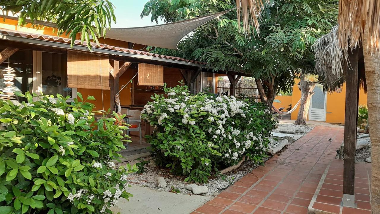 B&B Casa Trankilo Kralendijk na wyspie Bonaire Zewnętrze zdjęcie